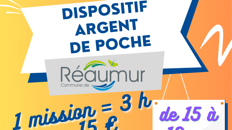 Dispositif "Argent de Poche"