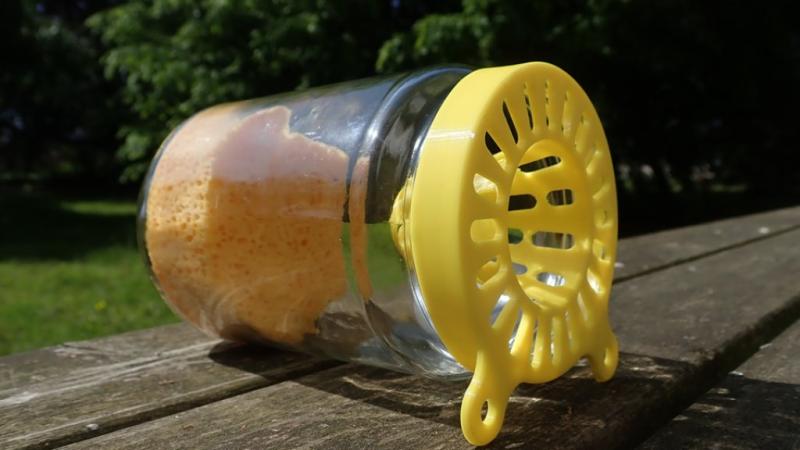 Compagne de piégeage des frelons à pattes jaunes