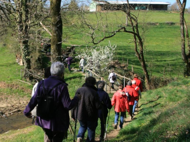 Randonnée des Rives du Lay