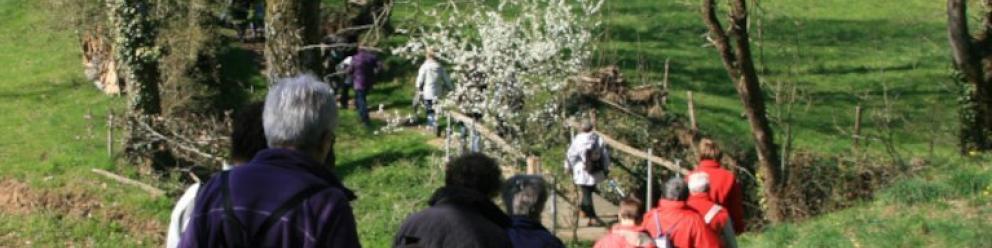 Randonnée des Rives du Lay