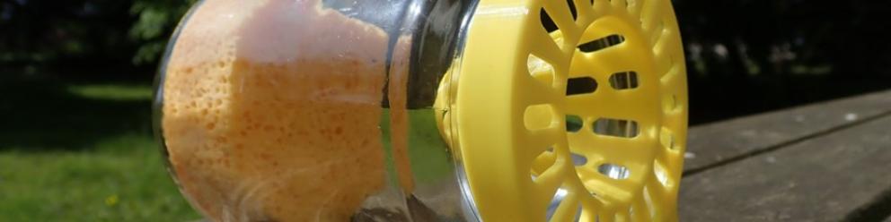 Compagne de piégeage des frelons à pattes jaunes