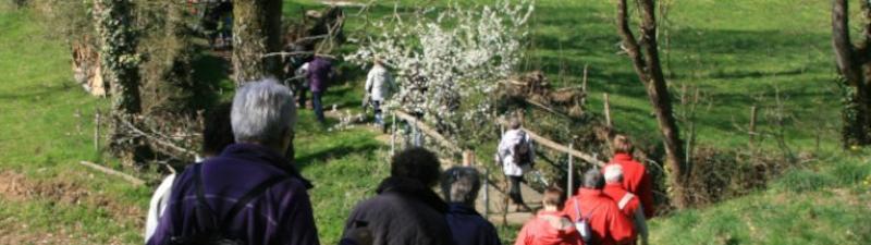 Randonnée des Rives du Lay