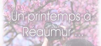 C’est le printemps – Nouveau concours photo